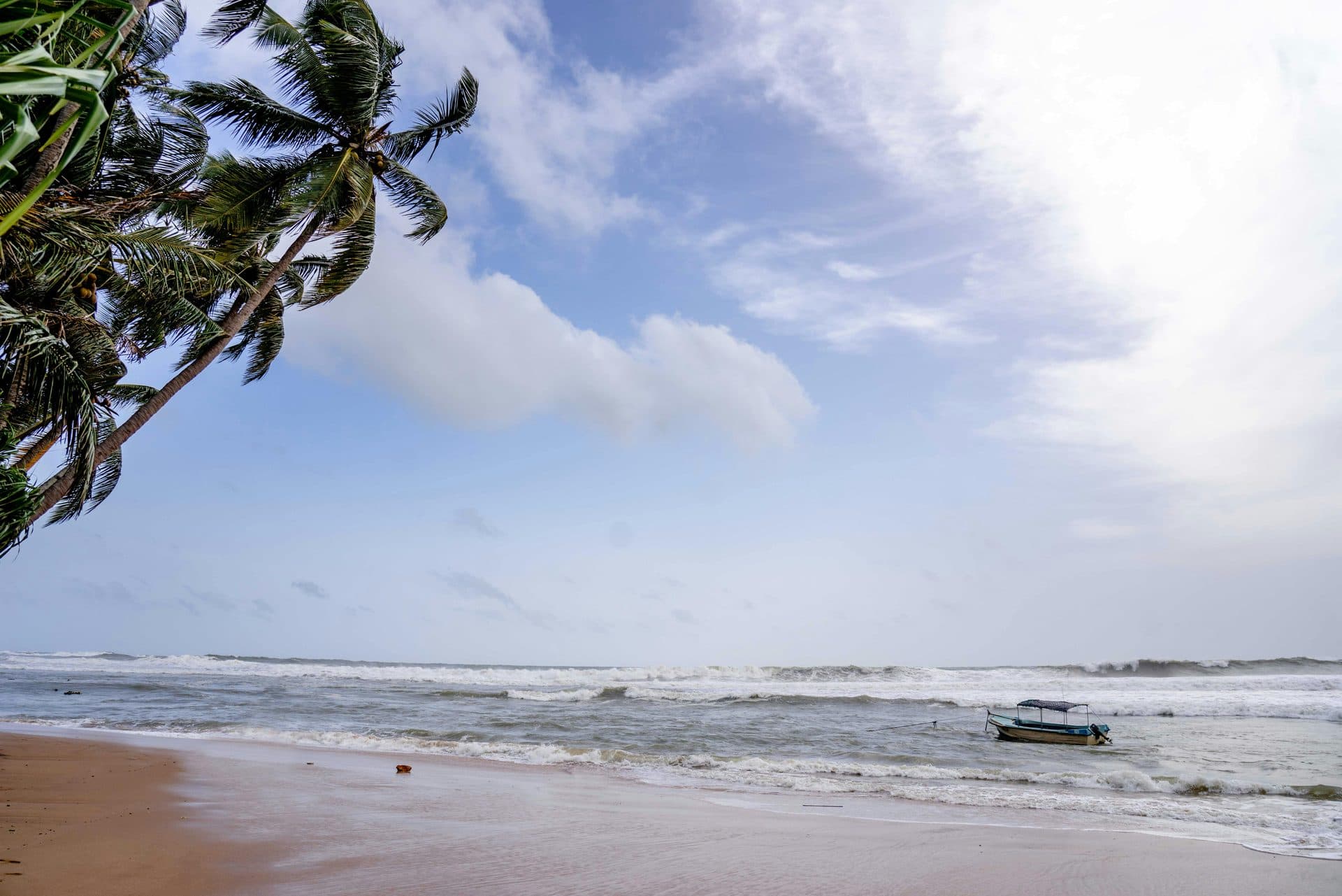 Sri Lankan beach at sunset with golden sand, palm trees, and gentle waves